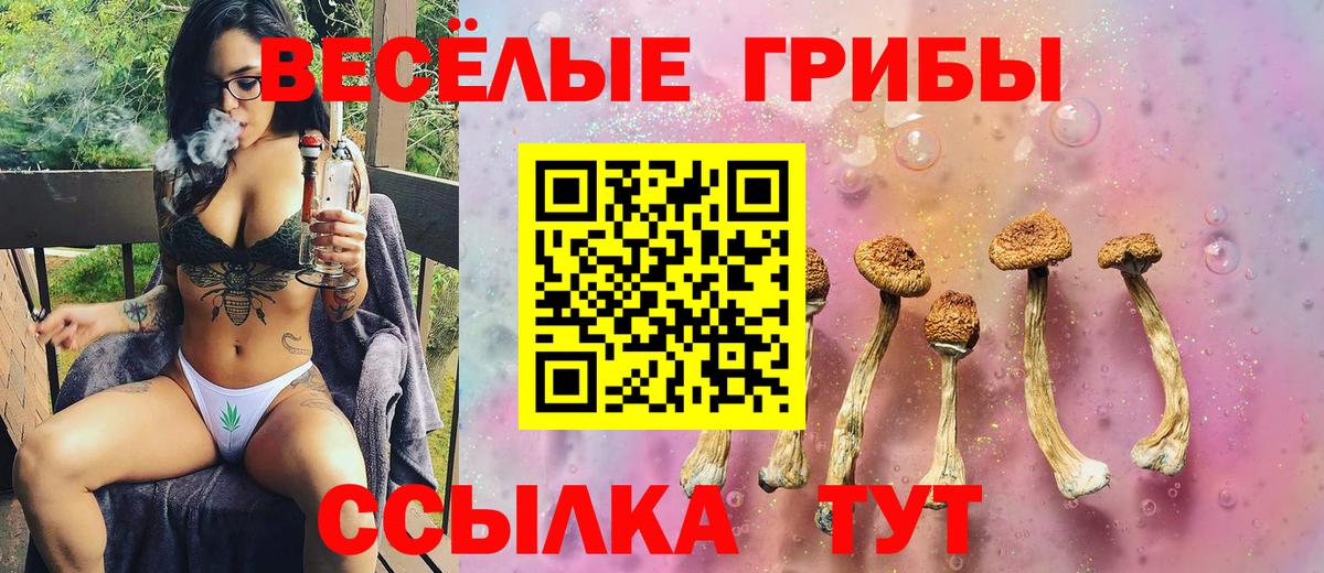 Красноармейск  Галлюциногенные грибы ЛСД  как найти   Вход с VPN 