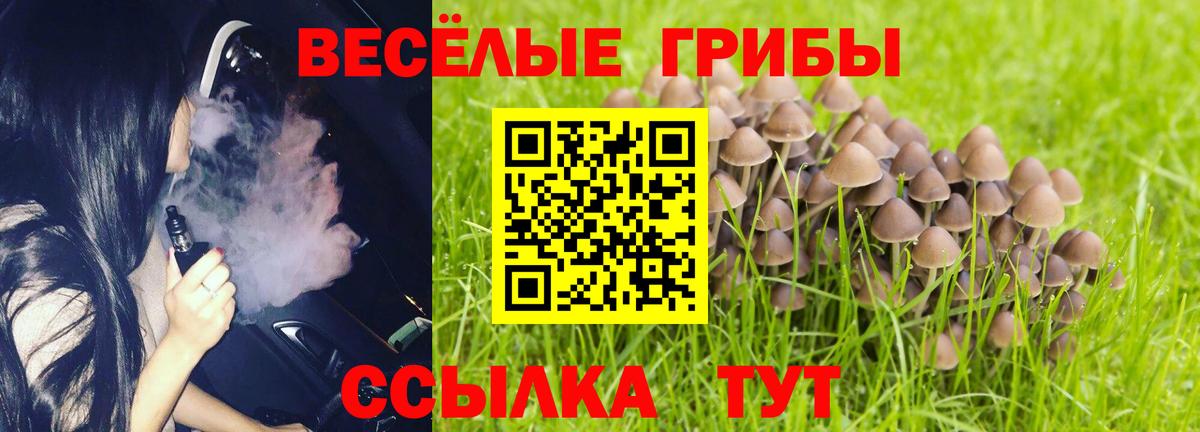 Псилоцибиновые грибы GOLDEN TEACHER Красноармейск