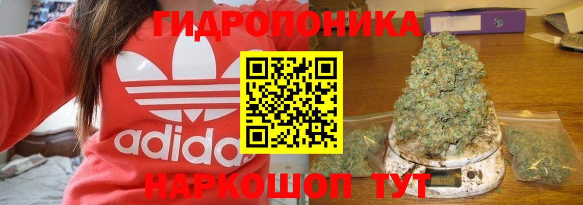 Бошки марихуана гибрид  Вход с VPN  Бошки марихуана семена  Красноармейск 